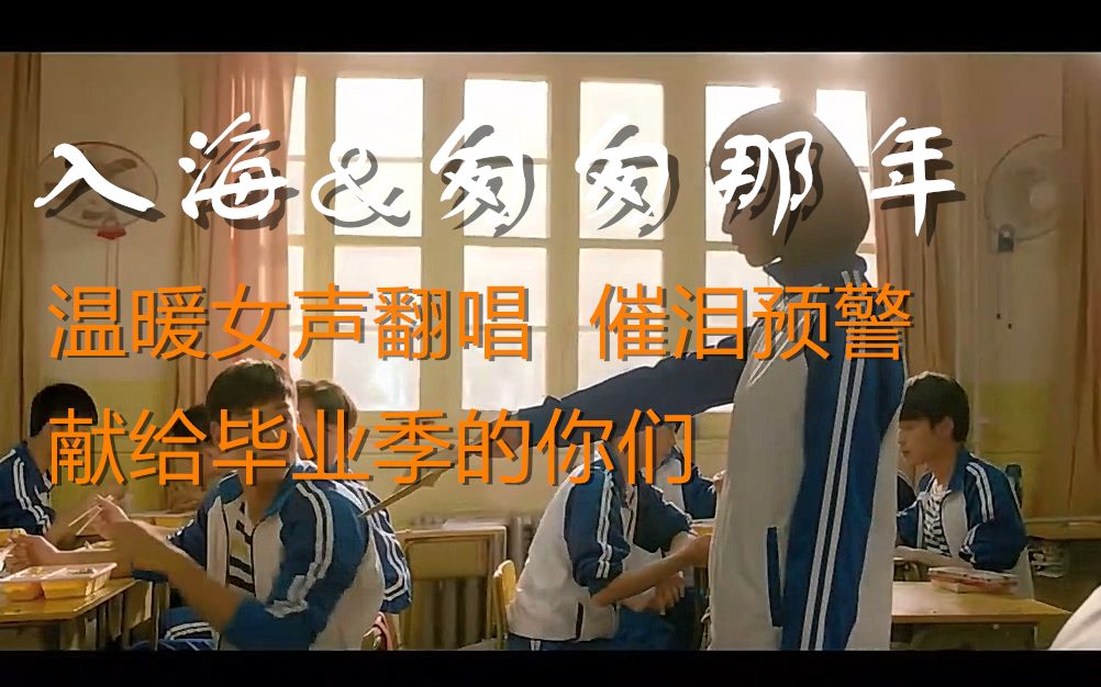 averiezcover入海匆匆那年翻唱混剪温暖女声翻唱那些年错过的终将错过