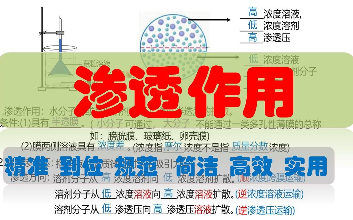 [图]渗透作用 高中生物必修一 《分子与细胞》 一轮复习