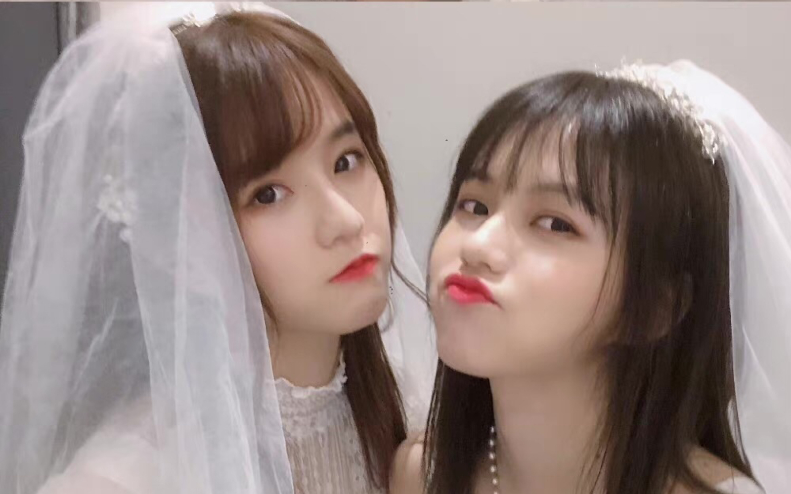 【乐白】 花|等待着重逢下一场的花见 【韩家乐&柏欣妤】