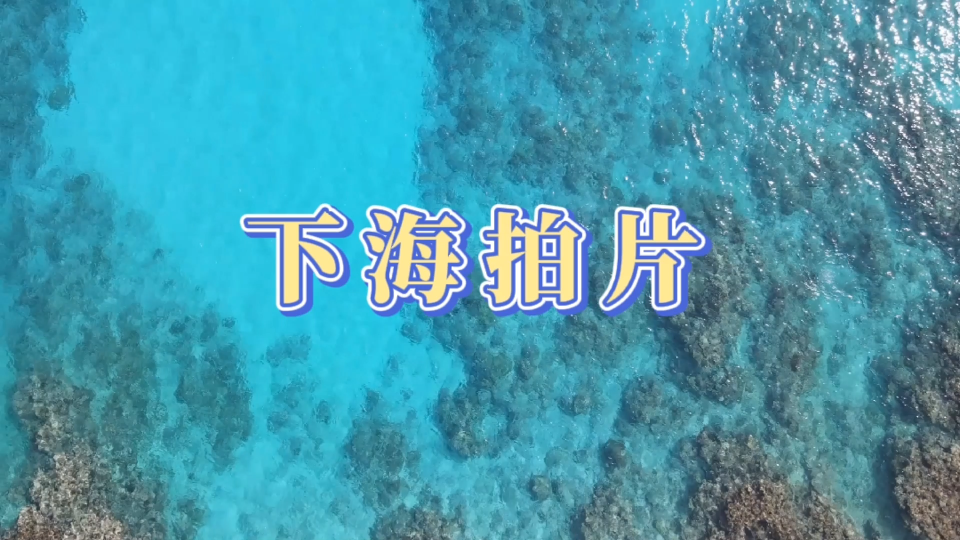 [图]【海南热门生物】第20集.西沙的海底世界