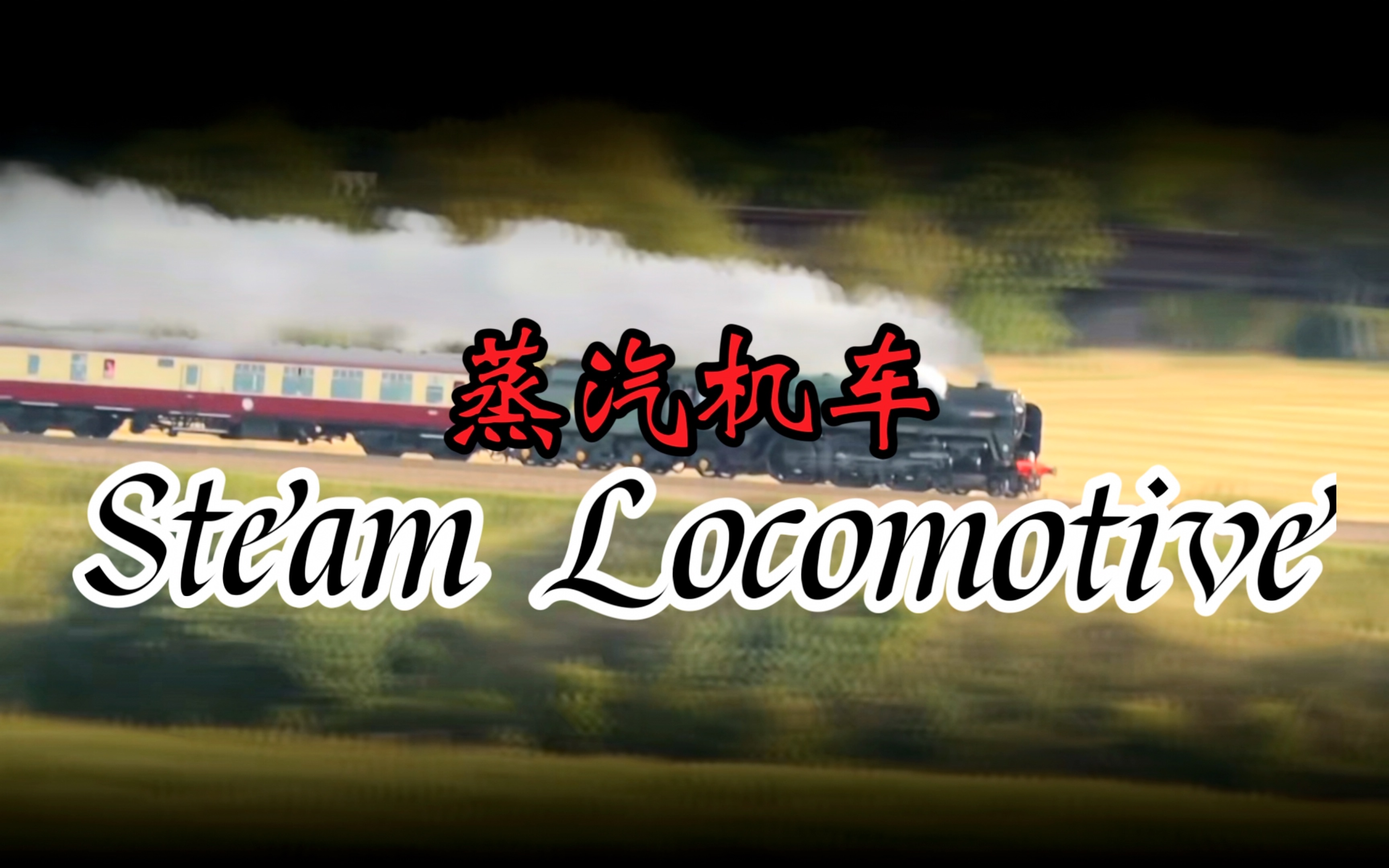 steamcn蒸汽动力，steamcn蒸汽动力论坛