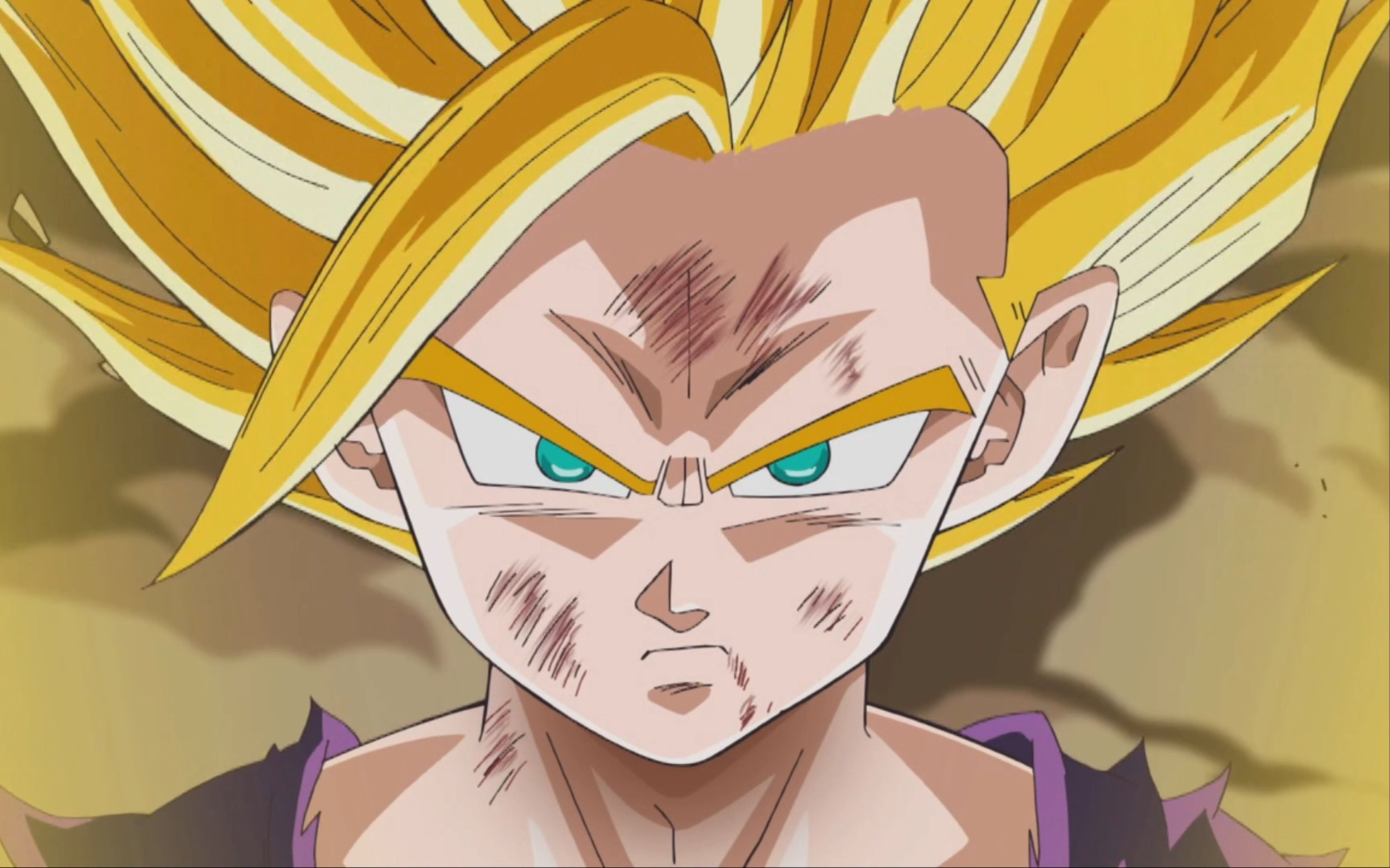 超二悟饭 vs 闪电沙鲁