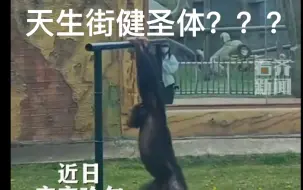 下载视频: 天生街健圣体？？？