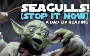 海鸥!SEAGULLS! (Stop It Now)  A Bad Lip Reading of The Empire哔哩哔哩bilibili