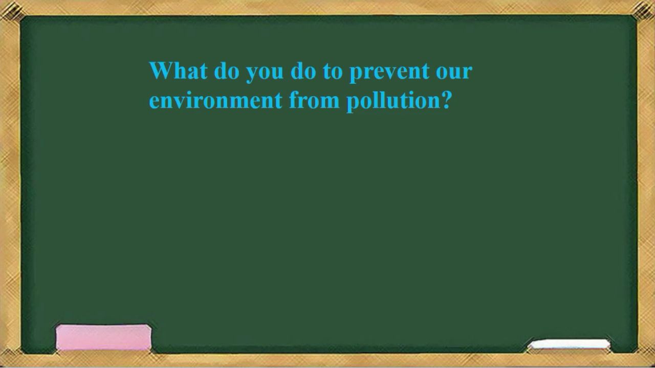 what do you do to prevent our environment from pollution?