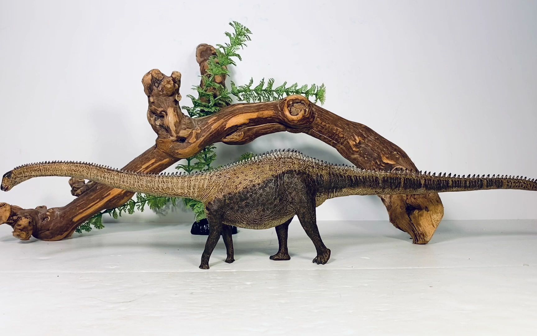 (转载)eofauna 卡内基梁龙评测