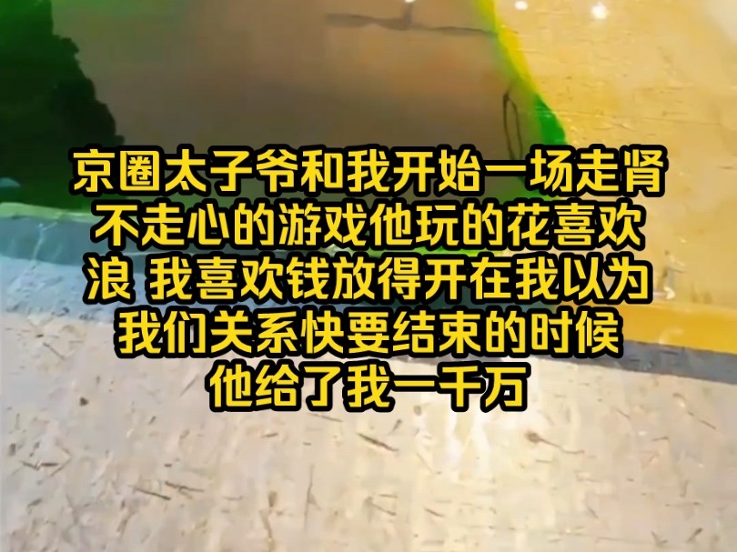 京圈太子爷和我开始一场走肾不走心的游戏他玩的花喜欢浪 我喜欢钱放得开在我以为我们关系快要结束的时候他给了我一千万哔哩哔哩bilibili