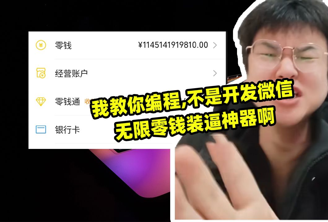 我教你编程,不是开发微信无限零钱,成为世界首富啊哔哩哔哩bilibili