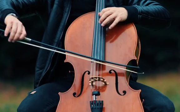 【大提琴演奏】 despacito