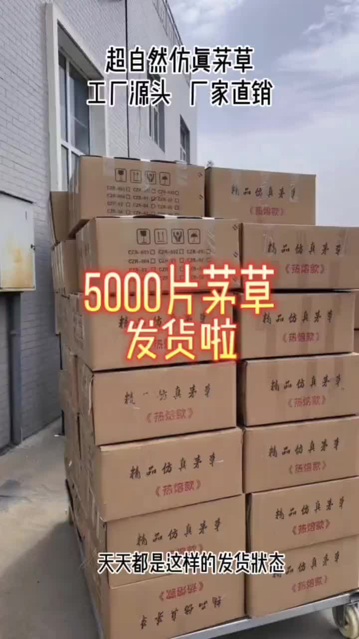 5000片仿真茅草@开始发货拉!哔哩哔哩bilibili