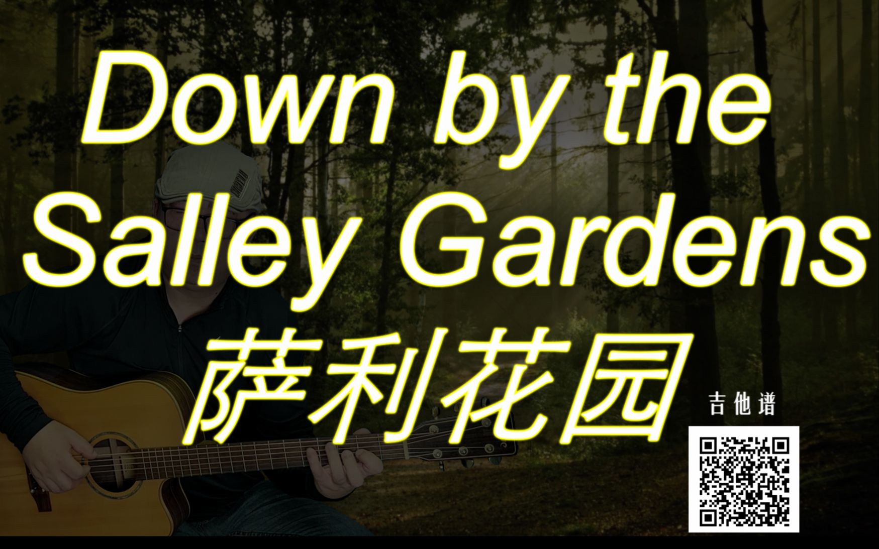 [图]【有谱】《萨利花园》 吉他指弹教学 大伟吉他 Down by the Salley Gardens