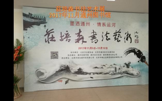 庄培森书法艺术展2017年通州图书馆哔哩哔哩bilibili