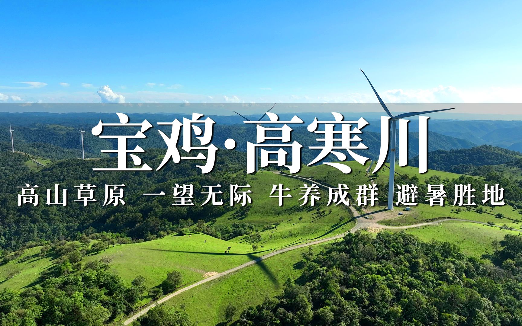 陕西宝鸡免费的高山草原高寒川,蓝田白云一望无际牛羊成群,分享自驾游玩攻略!哔哩哔哩bilibili