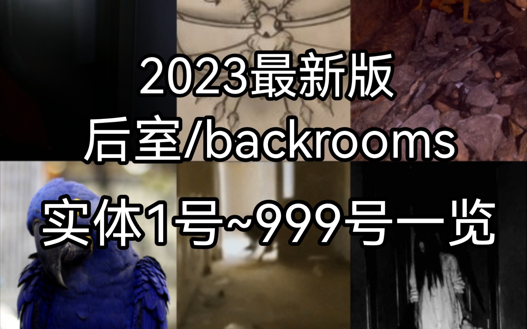 [图]【Backrooma/后室】2023最新版Entity 1~Entity 999一览