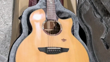 楚门吉他stl1900海豚物语全单吉他安排发货,广州吉他乐器