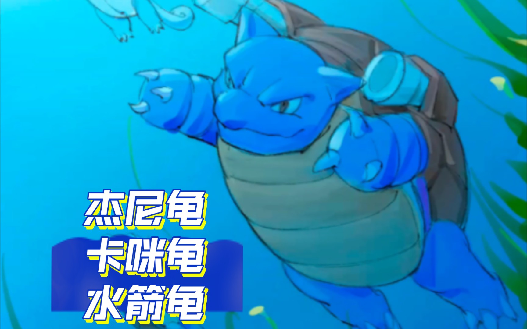 no:007杰尼龟no:008卡咪龟no:009水箭龟