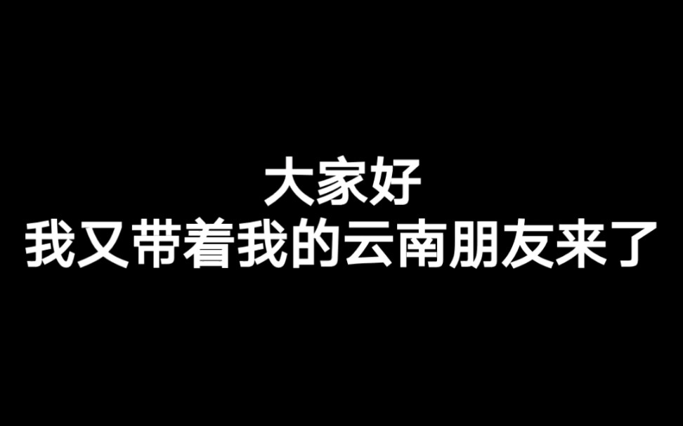 《我 的 一 个 云 南 朋 友 2》哔哩哔哩bilibili