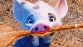 海洋奇缘 性感的小猪猪 在线卖萌 哔哩哔哩 つロ干杯 Bilibili 海洋奇缘 性感的小猪猪 在线卖萌 哔哩哔哩 つロ干杯 Bilibili