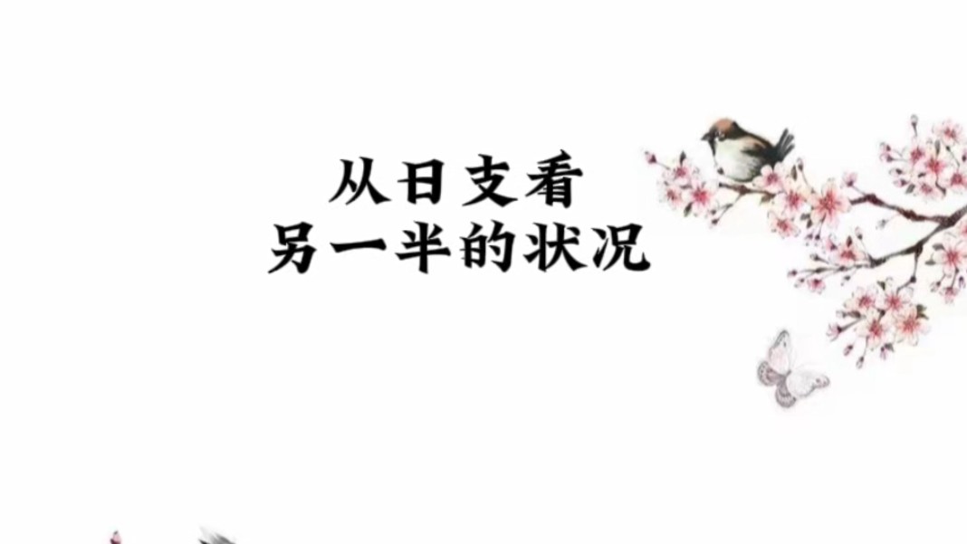 日支看另一半哔哩哔哩bilibili