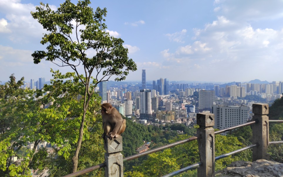 黔灵山公园眺望贵阳市区