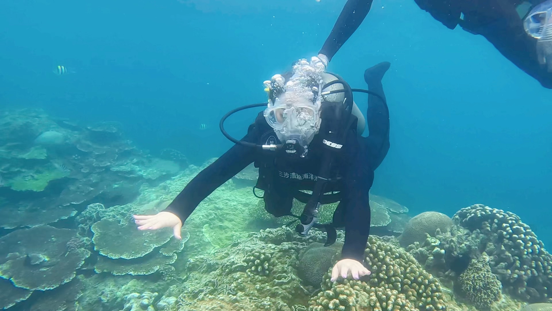 来海南别去三亚,万宁海岛更适合潜水,加井岛,大洲岛户外