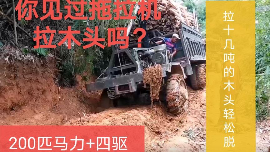 你见过拖拉机拉木头吗?200匹 四驱,拉十几吨的木头轻松脱困