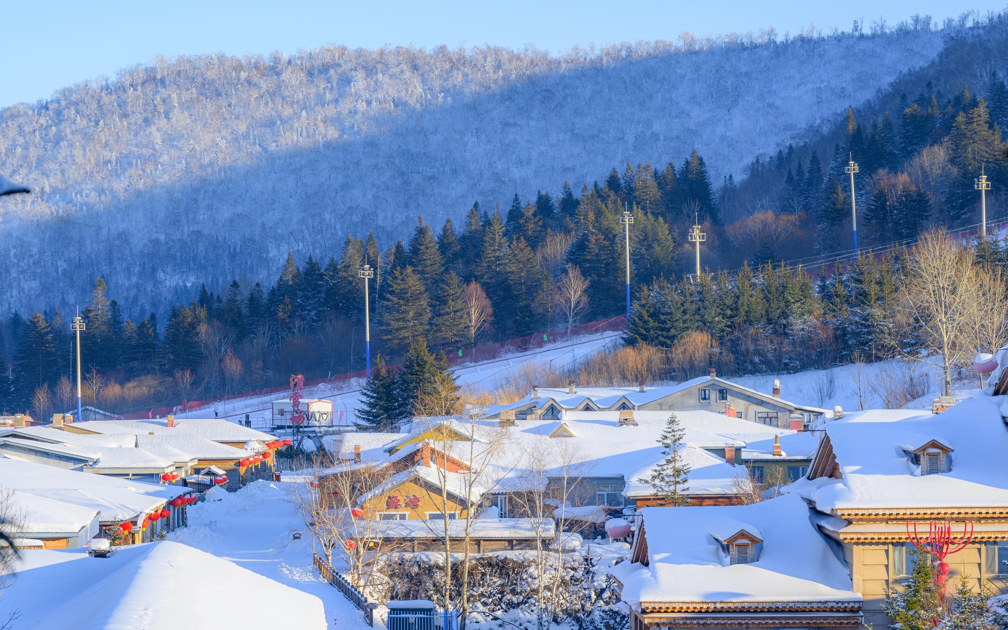 【延边 · 双峰林场 · 雪乡】雪后初晴