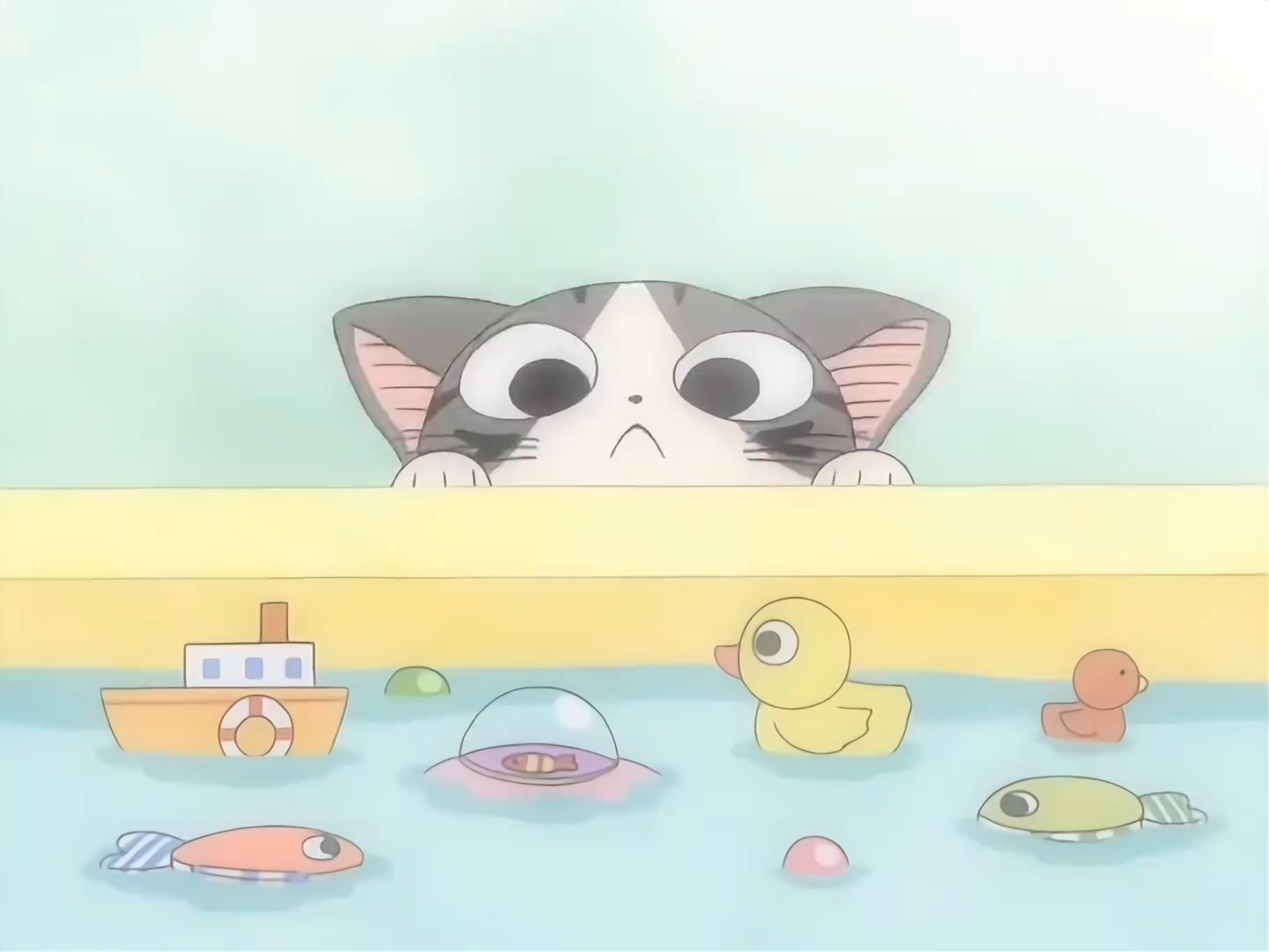 一口气带你看完治愈动漫《甜甜私房猫》