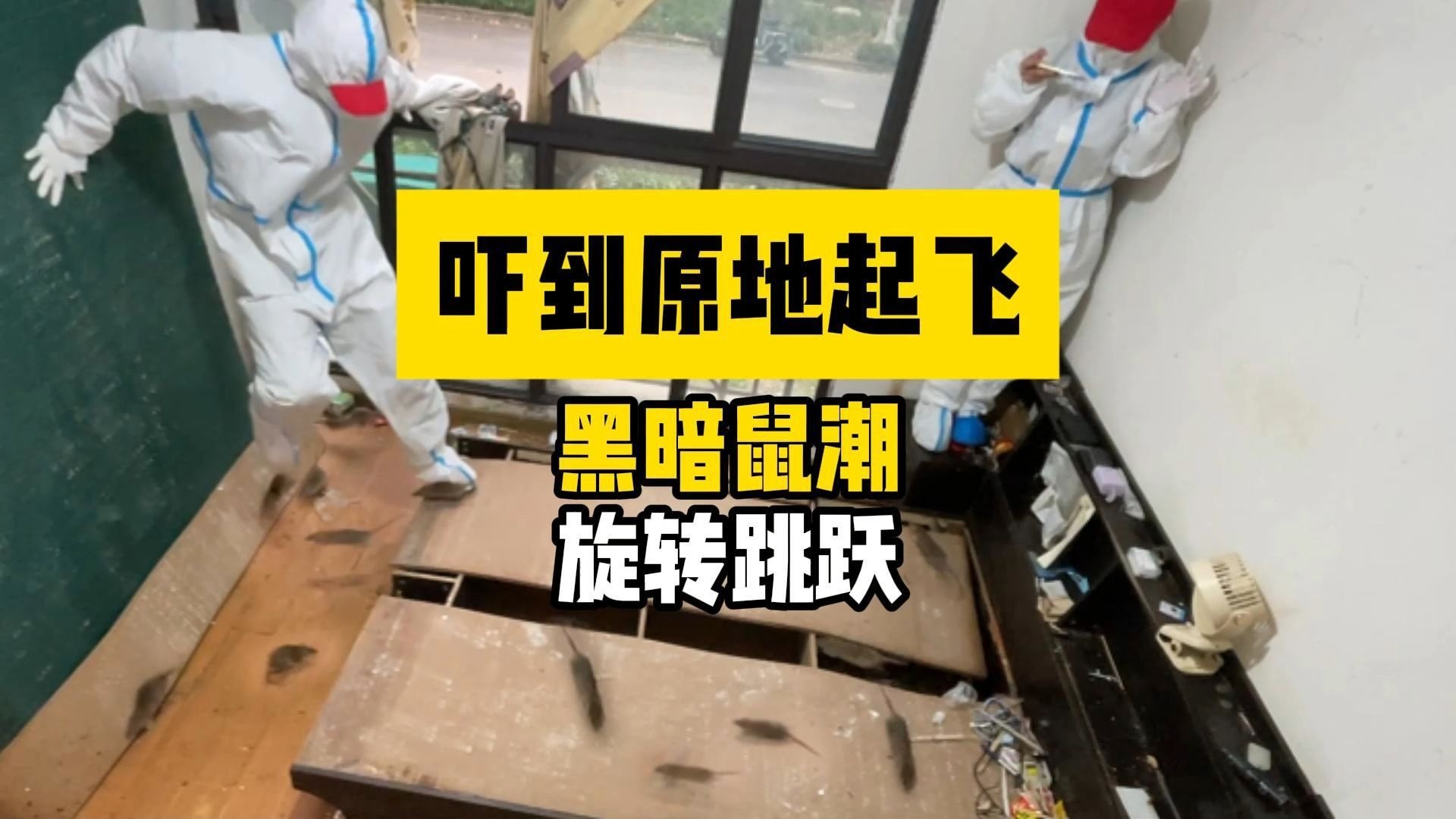 没什么能吓到身经百战的我们,鼠鼠窜天猴:你确定?