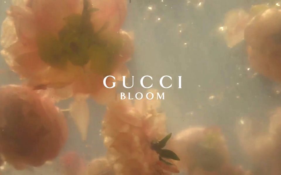 [图]【GUCCI】Bloom香水（The Campaign Film）