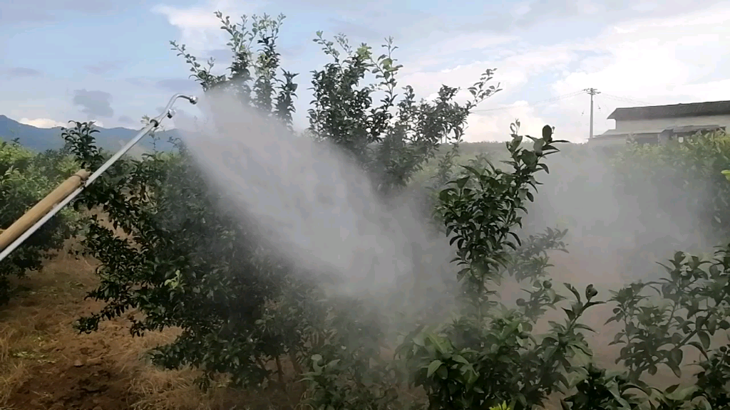 每一个果农都应该有个迈图喷头原来打药都