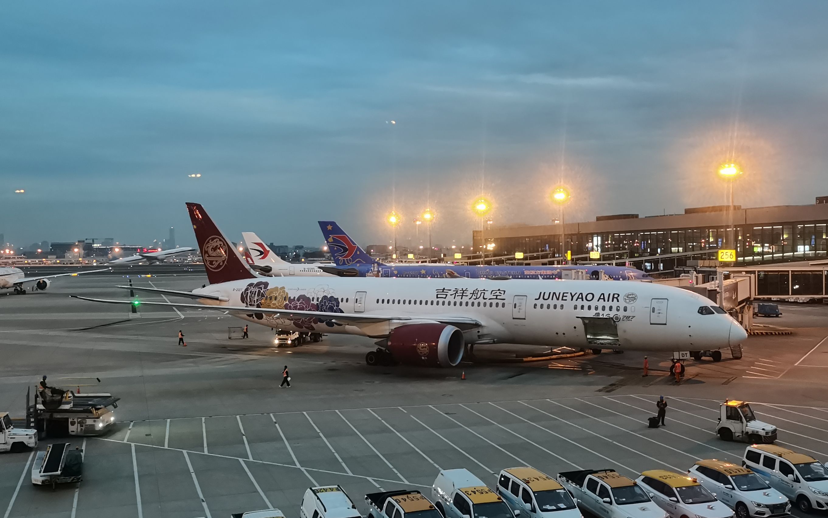 【梦旅生花】吉祥航空波音787-9(b-20dt/100th 787 for china)上海