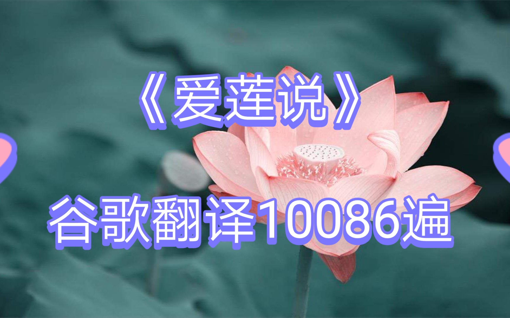 《爱莲说》谷歌翻译10086遍,全程高能!!!!哔哩哔哩bilibili