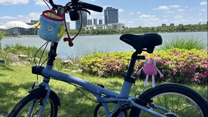 西湖娱乐城- 西湖娱乐城官网- 西湖娱乐城APP小老虎解释-小老虎是什么意思-在线版