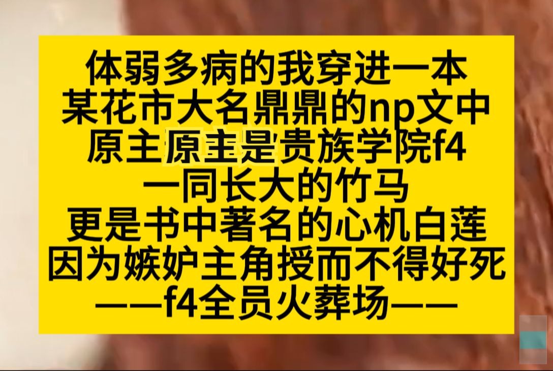 双男主 体弱多病的我穿进一本np文里,转身是贵族学院F4的竹马,著名的心机白莲……小说推荐哔哩哔哩bilibili