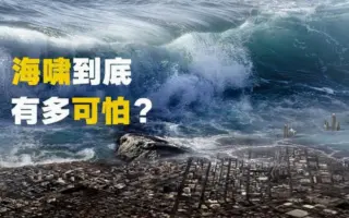 南亚海啸 搜索结果 哔哩哔哩 Bilibili