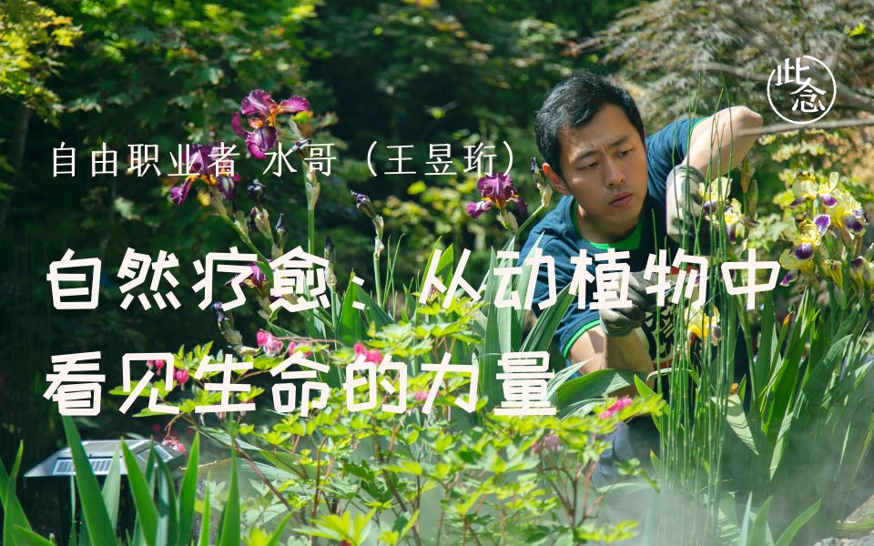 [图]自然疗愈，从动植物中看见生命的力量-王昱珩（水哥）