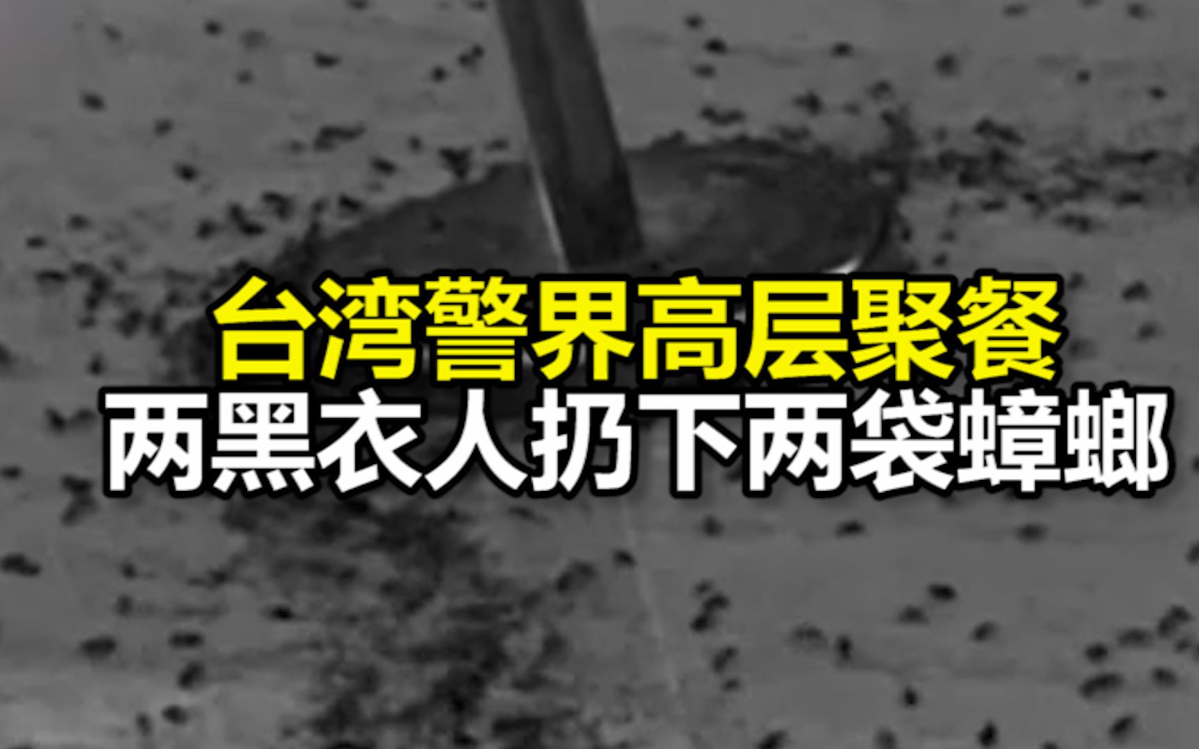 台湾警界高层聚餐两黑衣人扔下两袋蟑螂,上千只满地乱窜哔哩哔哩bilibili