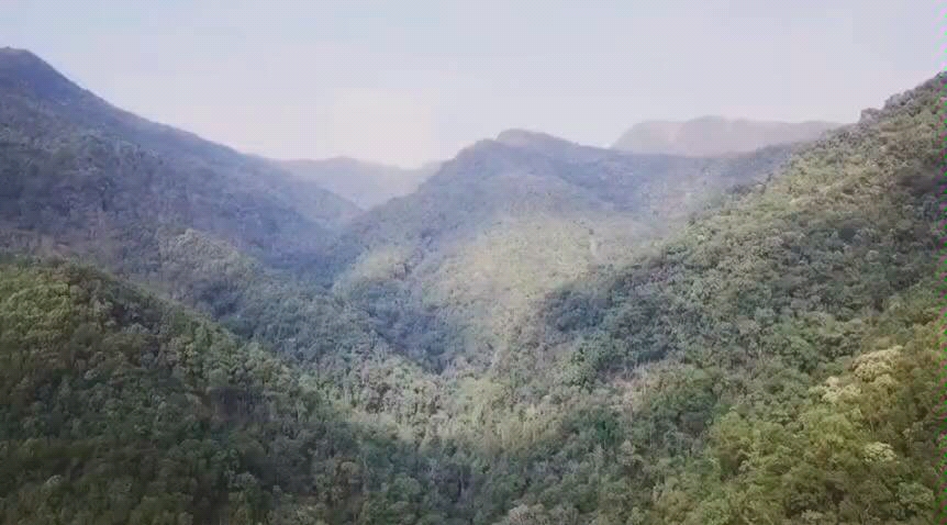 [图]易武刮风寨