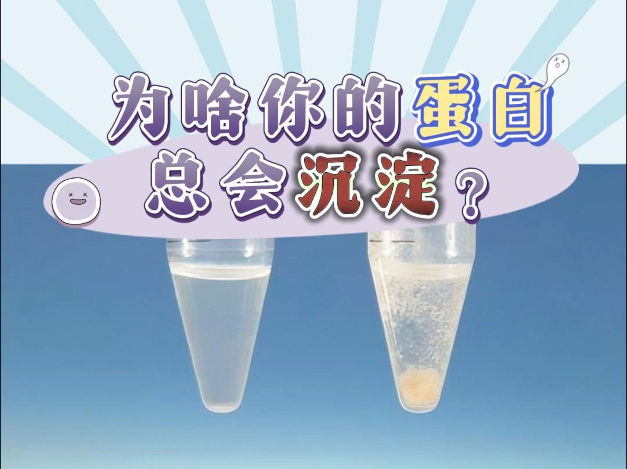 为什么你的蛋白总是会沉淀?