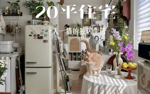 Tải video: 20平住宅｜一人一猫的独居生活