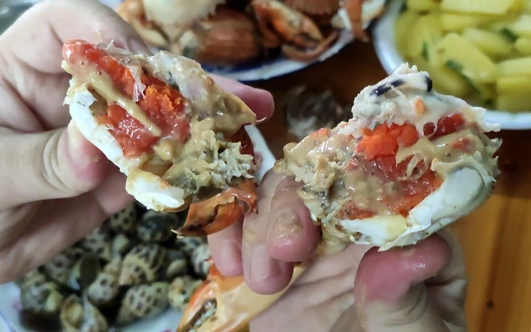 中秋节快到了,湛江的膏蟹带绳一斤100元,这膏太靓了_哔哩哔哩 (゜-゜)