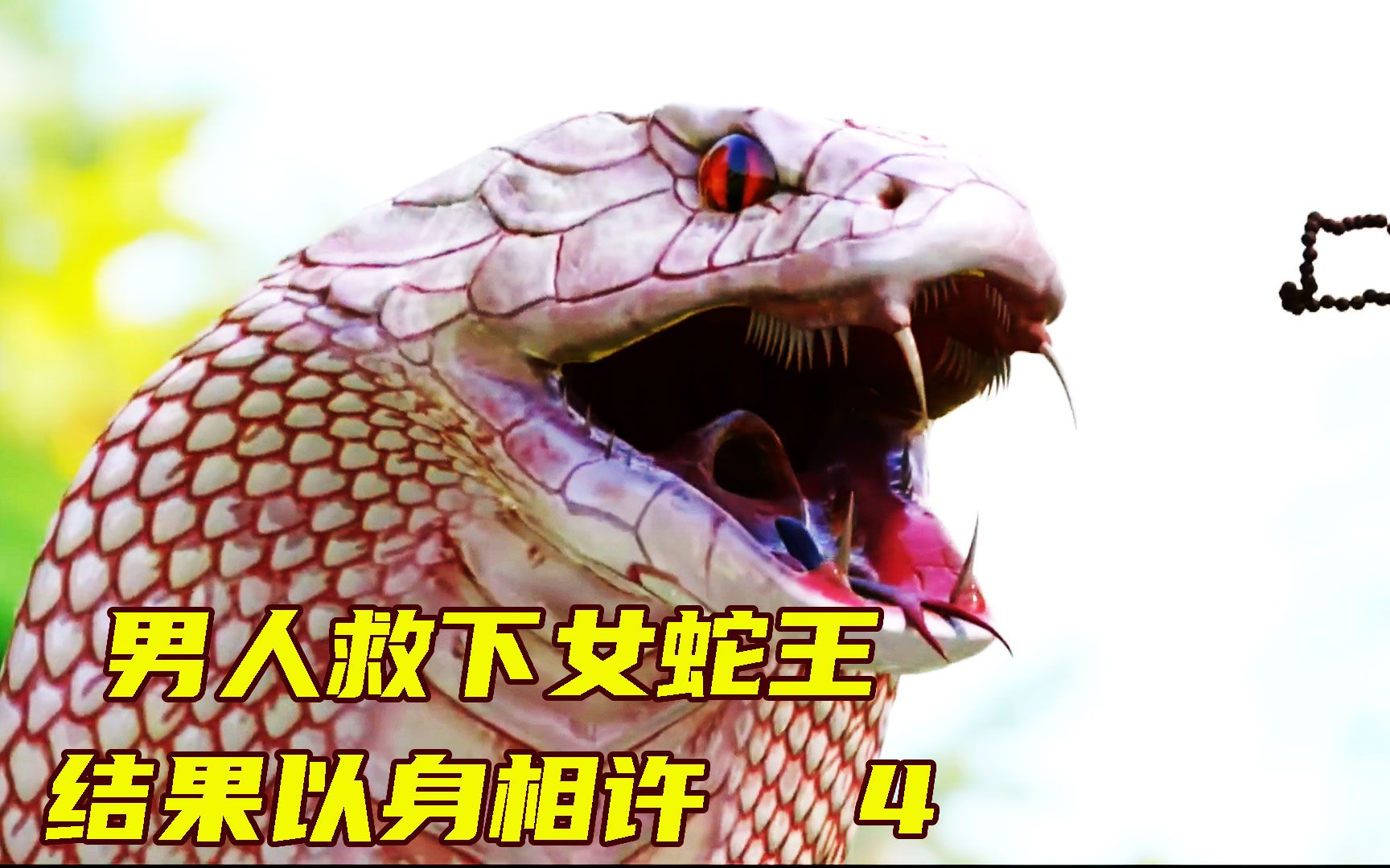 男人救下一条蛇王,结果蛇王悲剧了