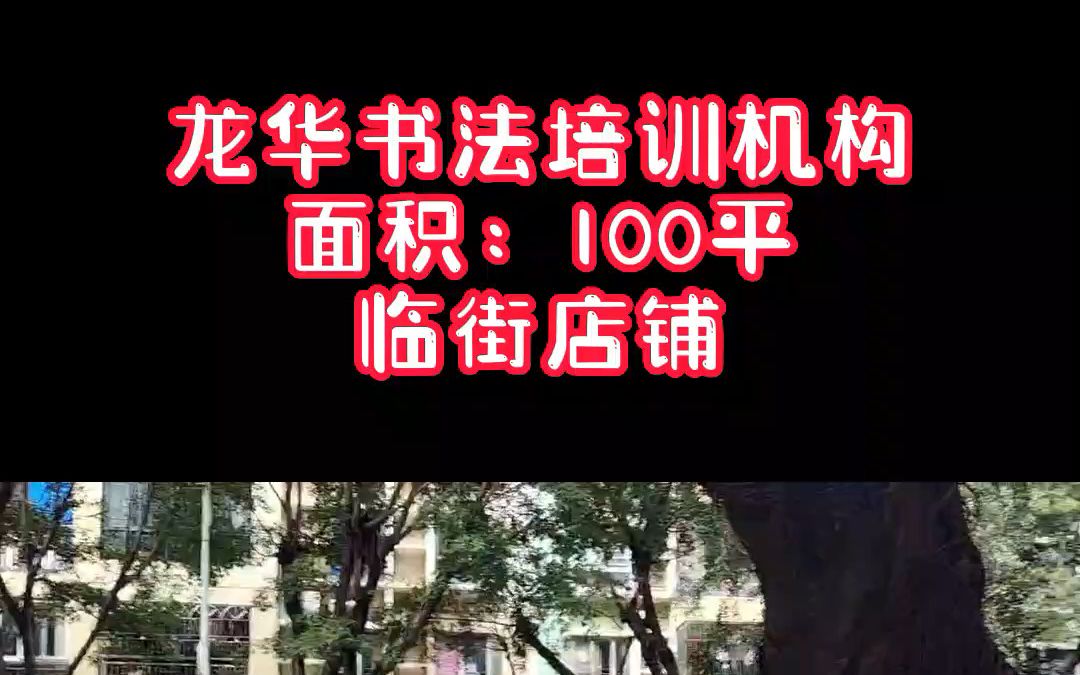 龙华中心城100平美术书法转让哔哩哔哩bilibili