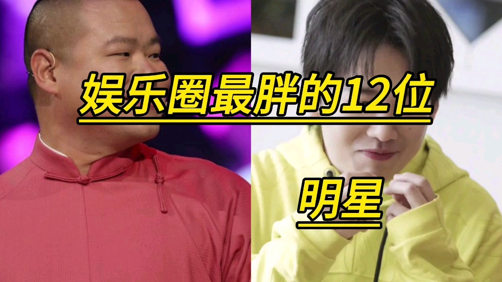 娱乐圈最胖的12位明星