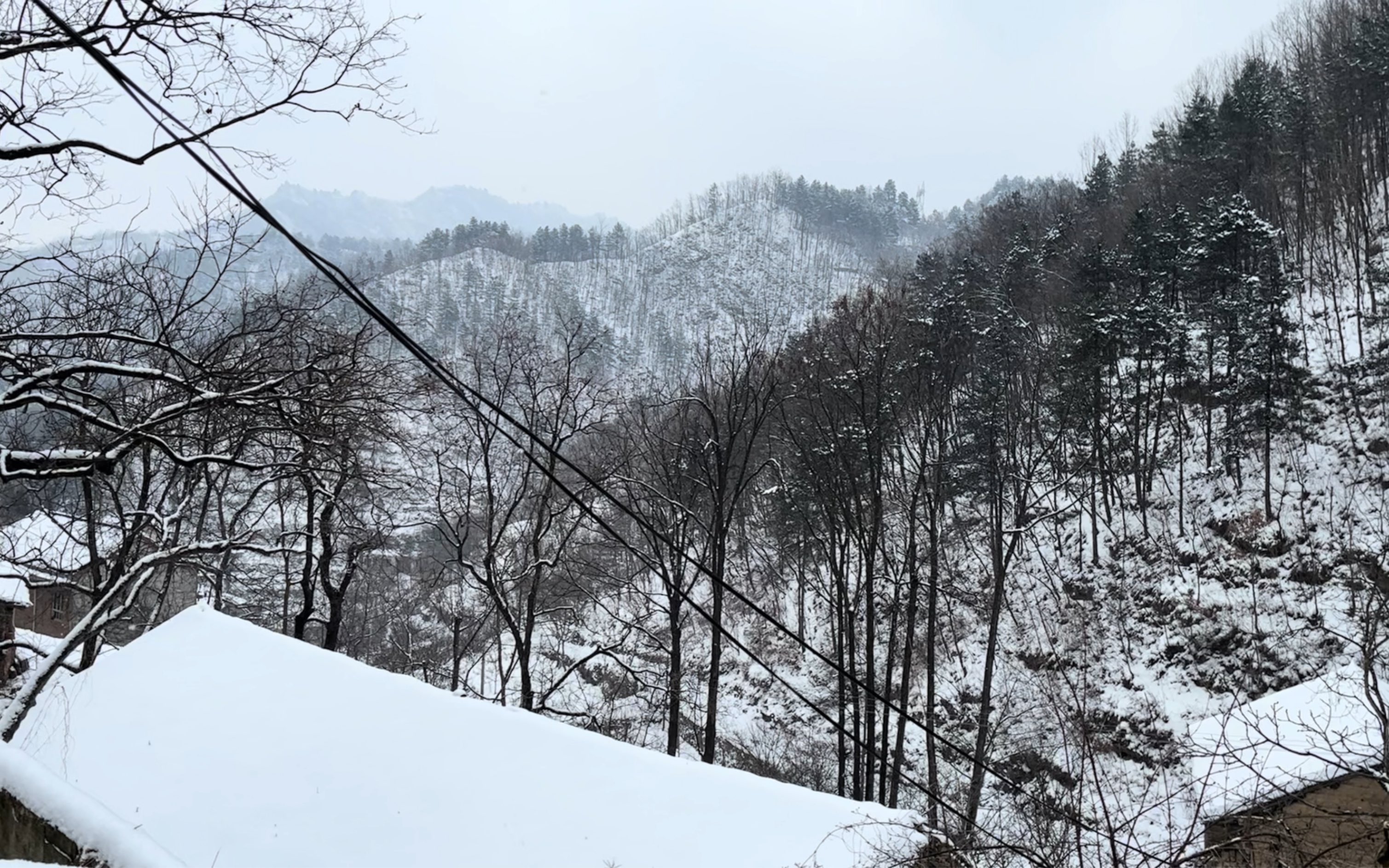 今我来思,雨雪霏霏.哔哩哔哩bilibili