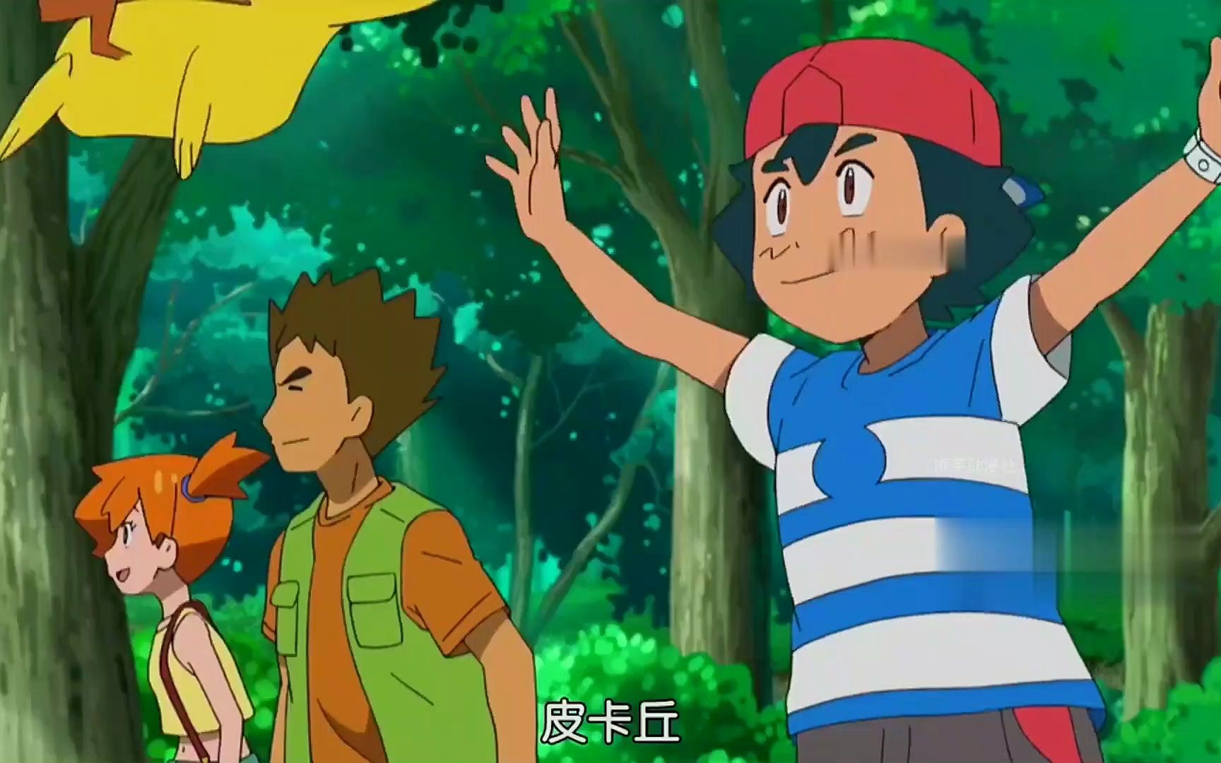 神奇宝贝日月:小智回到关都地区,遇到以前收服的妙蛙种子!