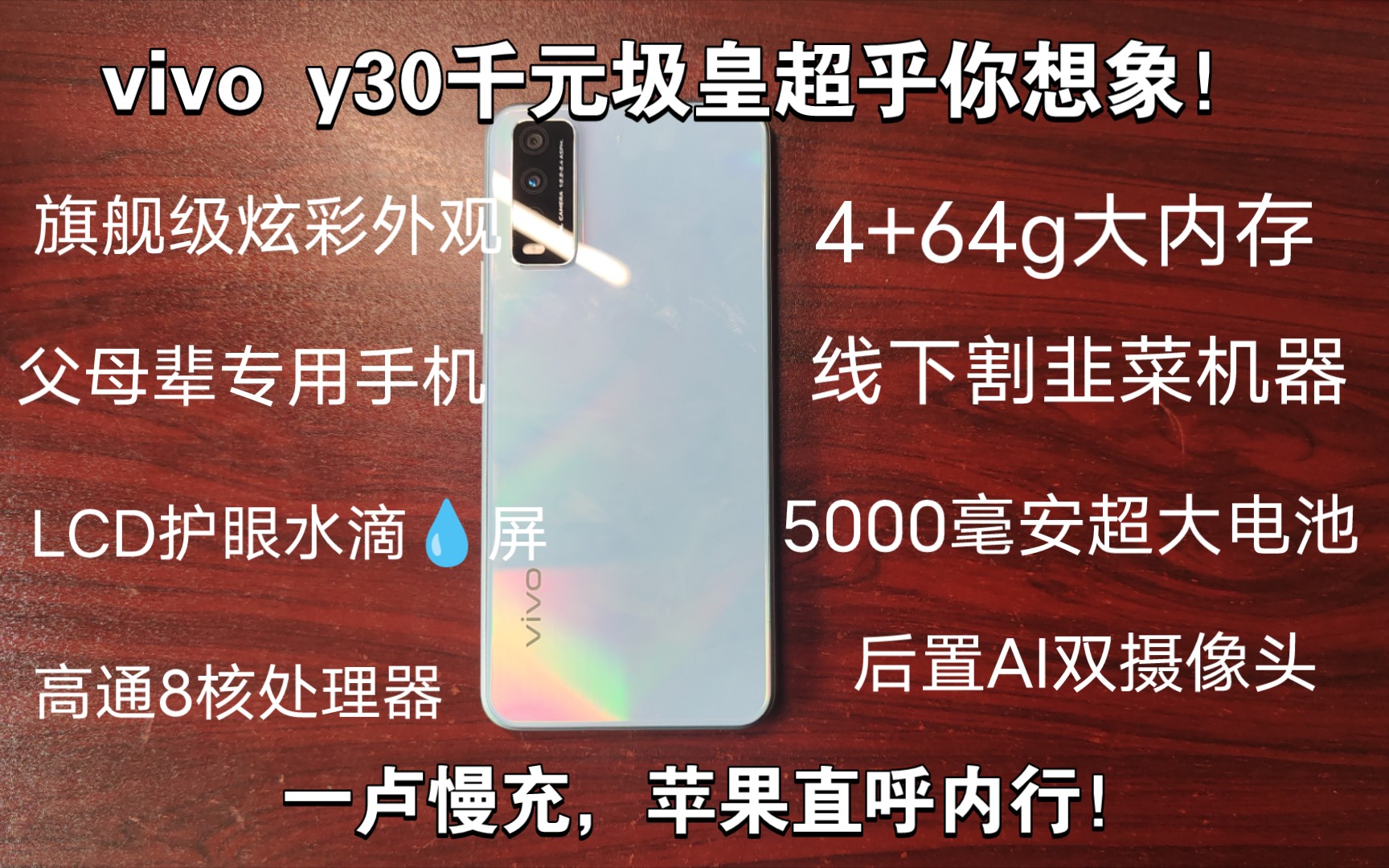 vivoy30标准版参数图片