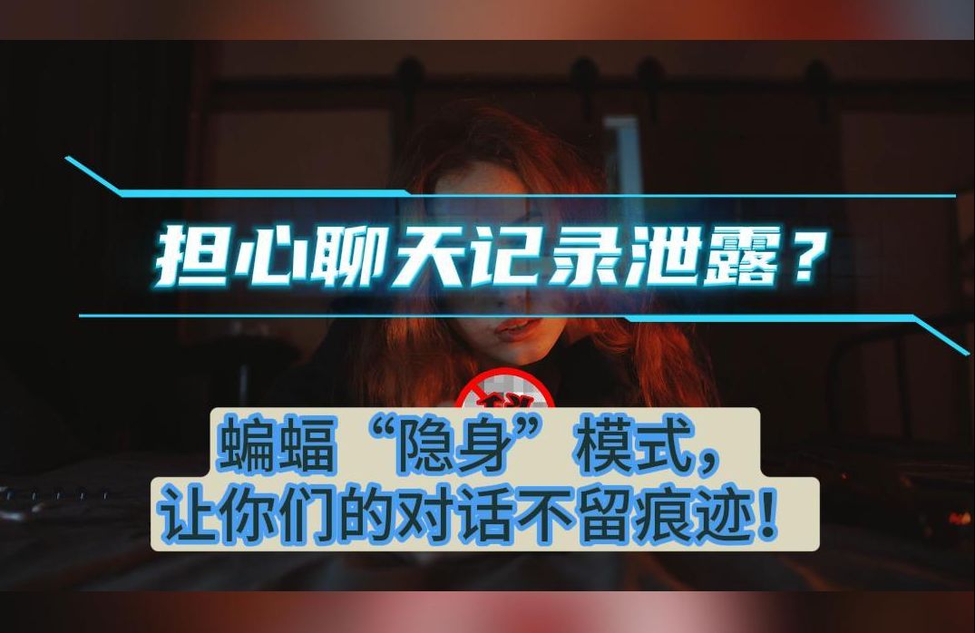 担心聊天记录泄露?蝙蝠"隐身"模式,让你们的对话不留痕迹!