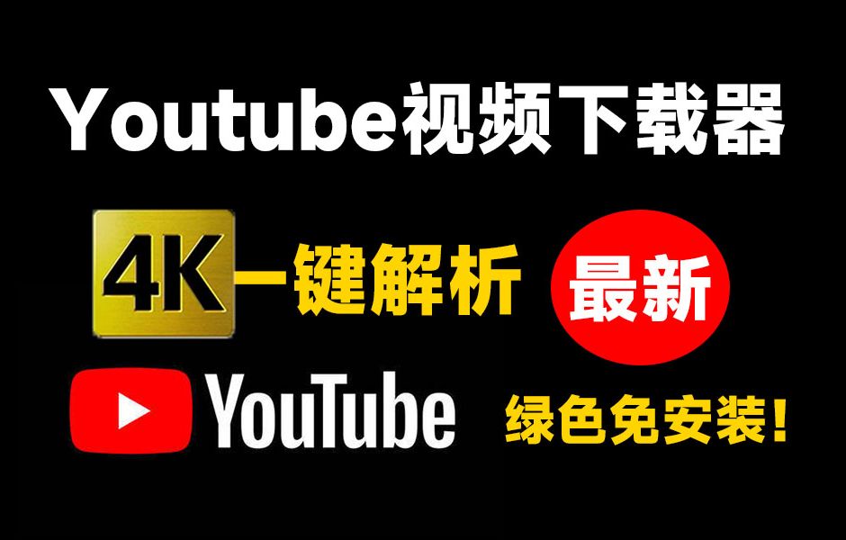 Youtube最新下载器!支持4K画质解析,使用超简单,粘贴即可一键解析下载,无广告免登陆使用 DLNow Video Downloader哔哩哔哩bilibili